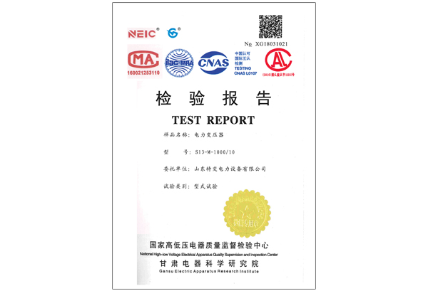 S13-M-1000/10���׃����